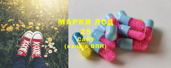 гашик Коряжма