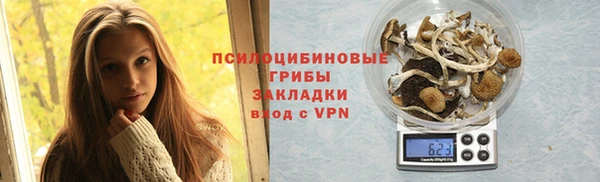 гашик Коряжма