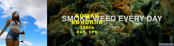 spice Козловка