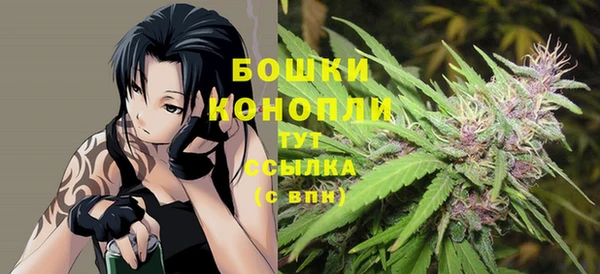 spice Козловка