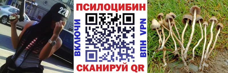 блэк спрут ССЫЛКА  цена   Киренск  Галлюциногенные грибы Psilocybine cubensis 